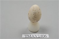 藏品(鶲卵)的圖片